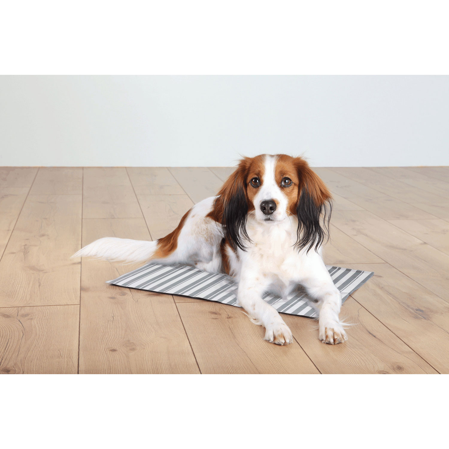 Alfombrilla Refrescante, M: 50×40cm, Blanco/Gris