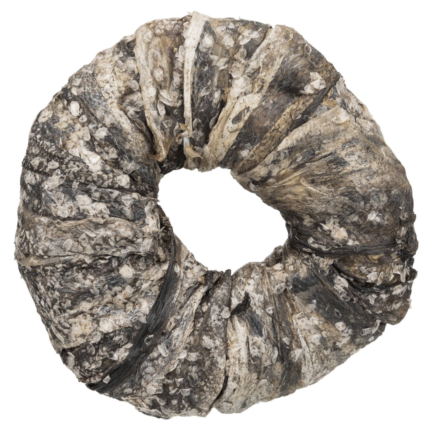 Anillo masticable con pescado DentaFun ø10 cm, 110 g
