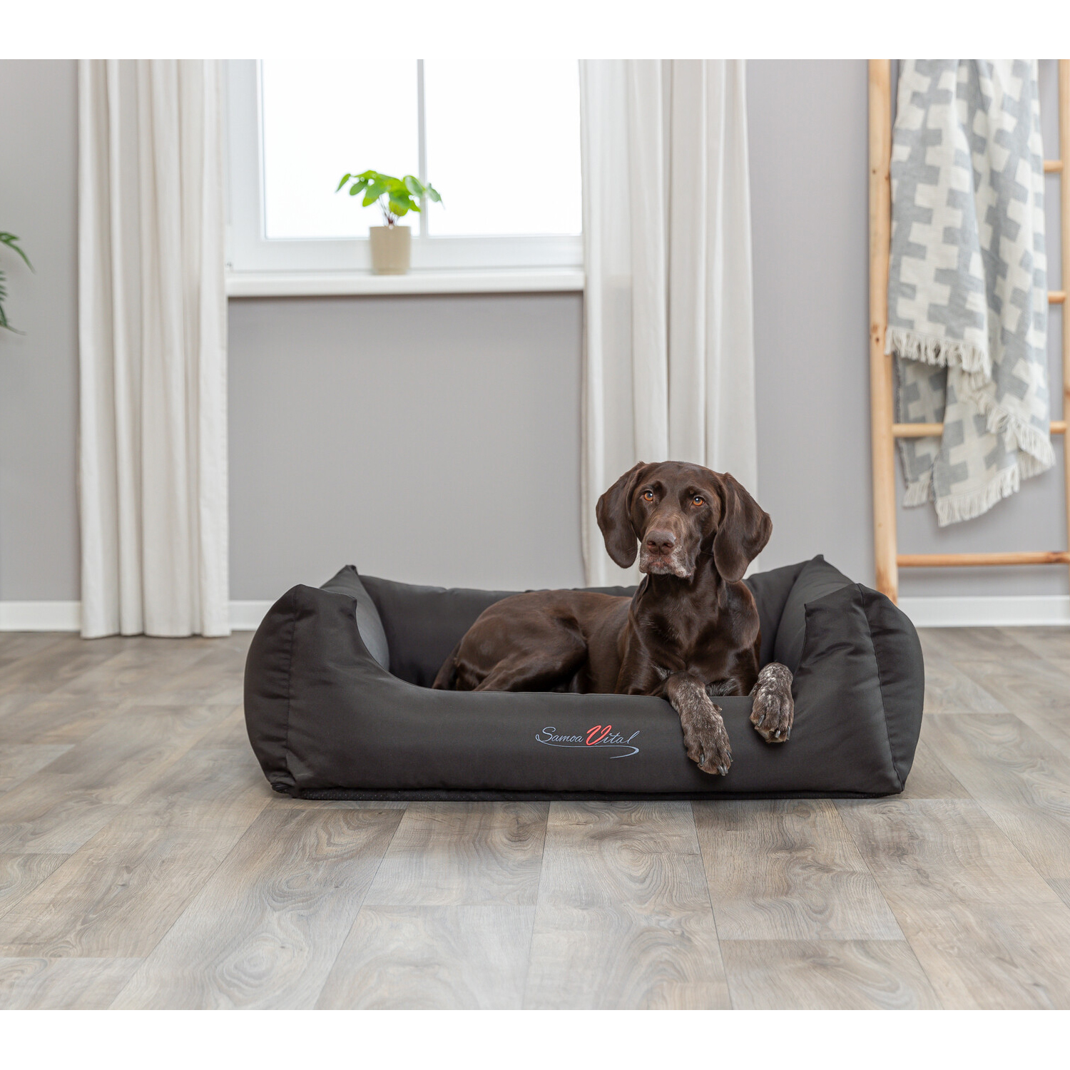 Cama Samoa Vital, 65 × 50 cm, Negro