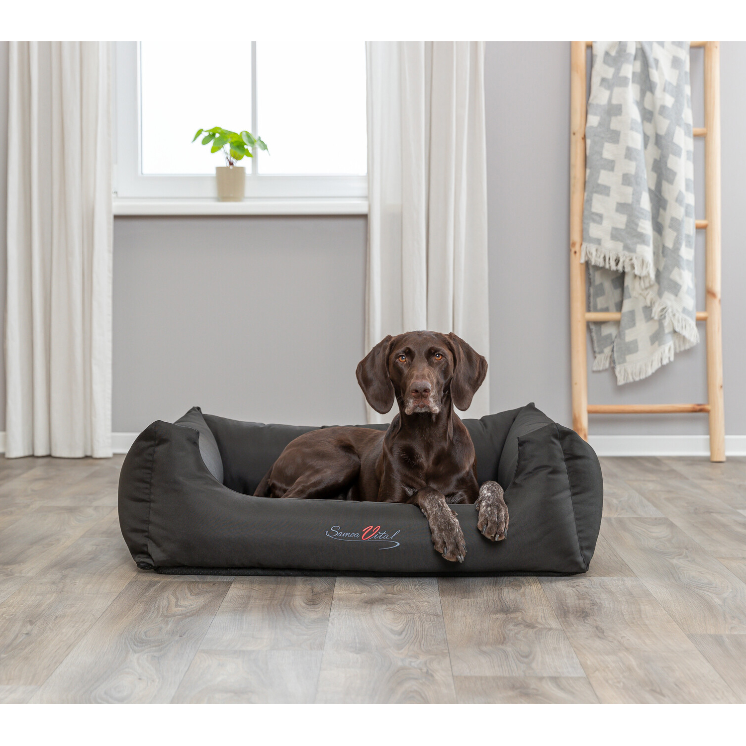 Cama Samoa Vital, 65 × 50 cm, Negro