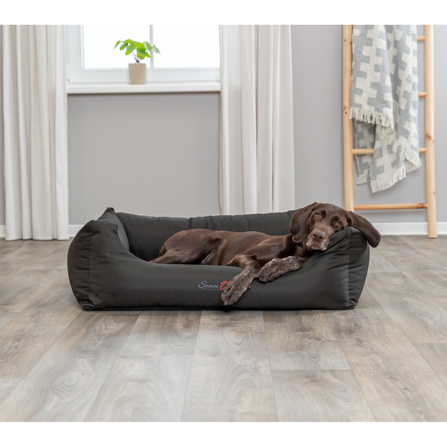 Cama Samoa Vital, 65 × 50 cm, Negro