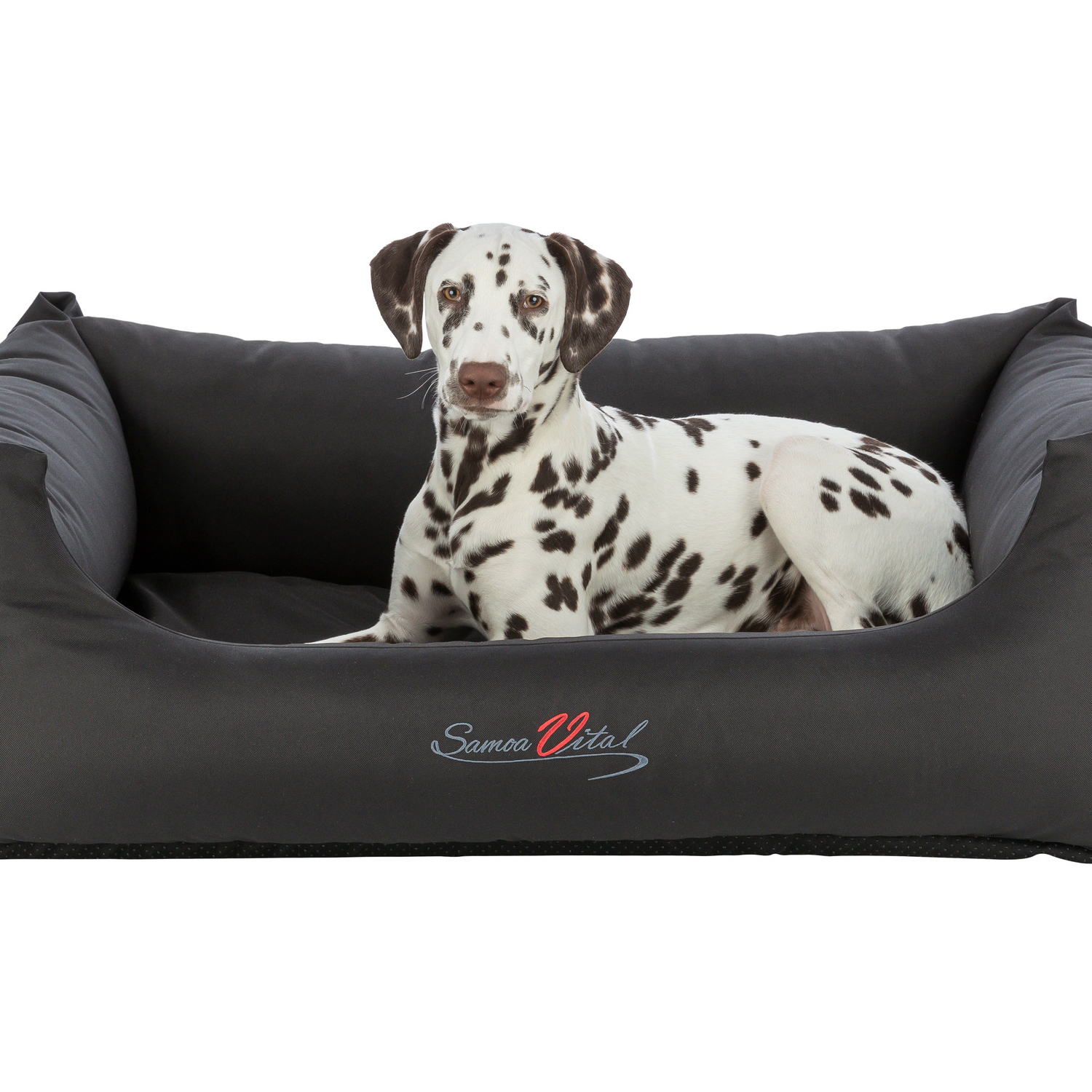 Cama Samoa Vital, 65 × 50 cm, Negro