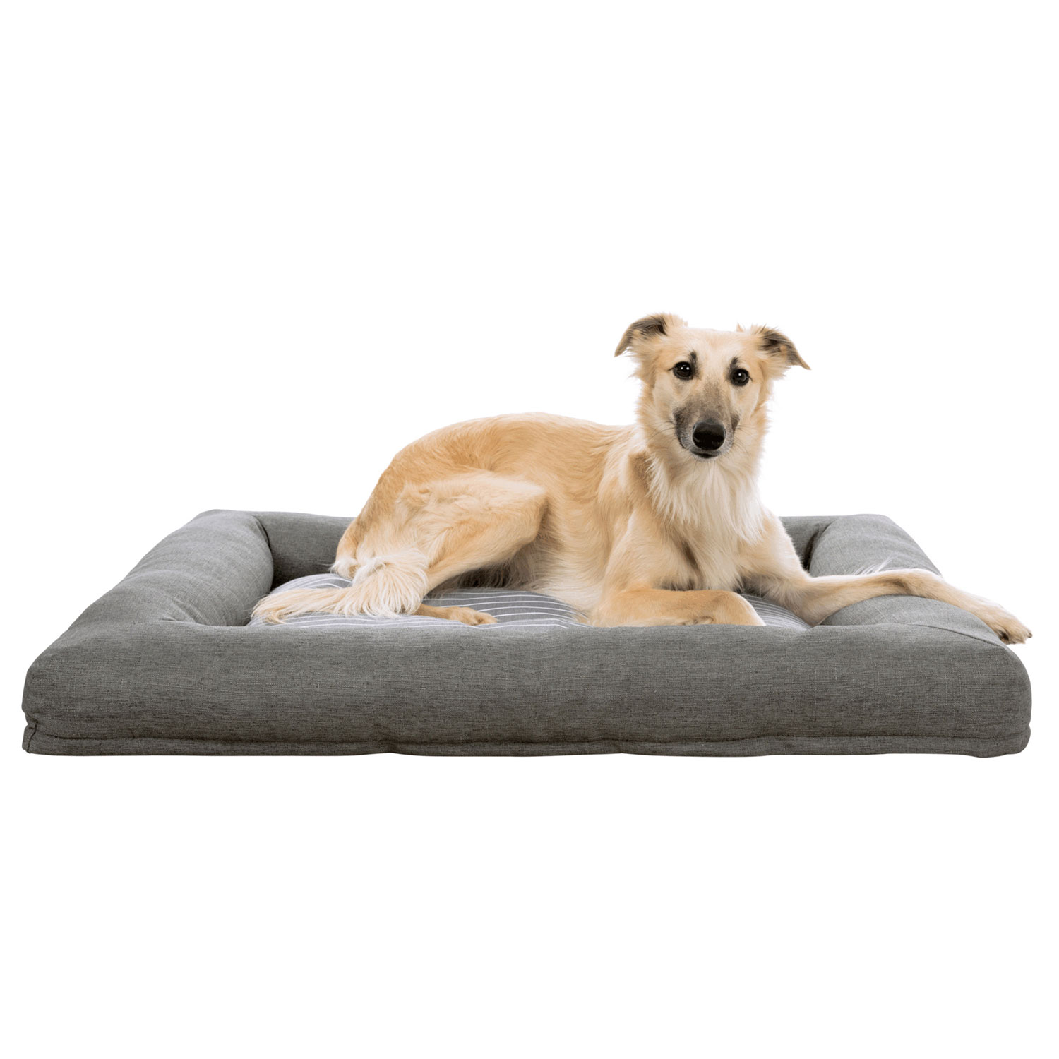 Cama Finley, 70 × 60 cm, Gris-Blanco