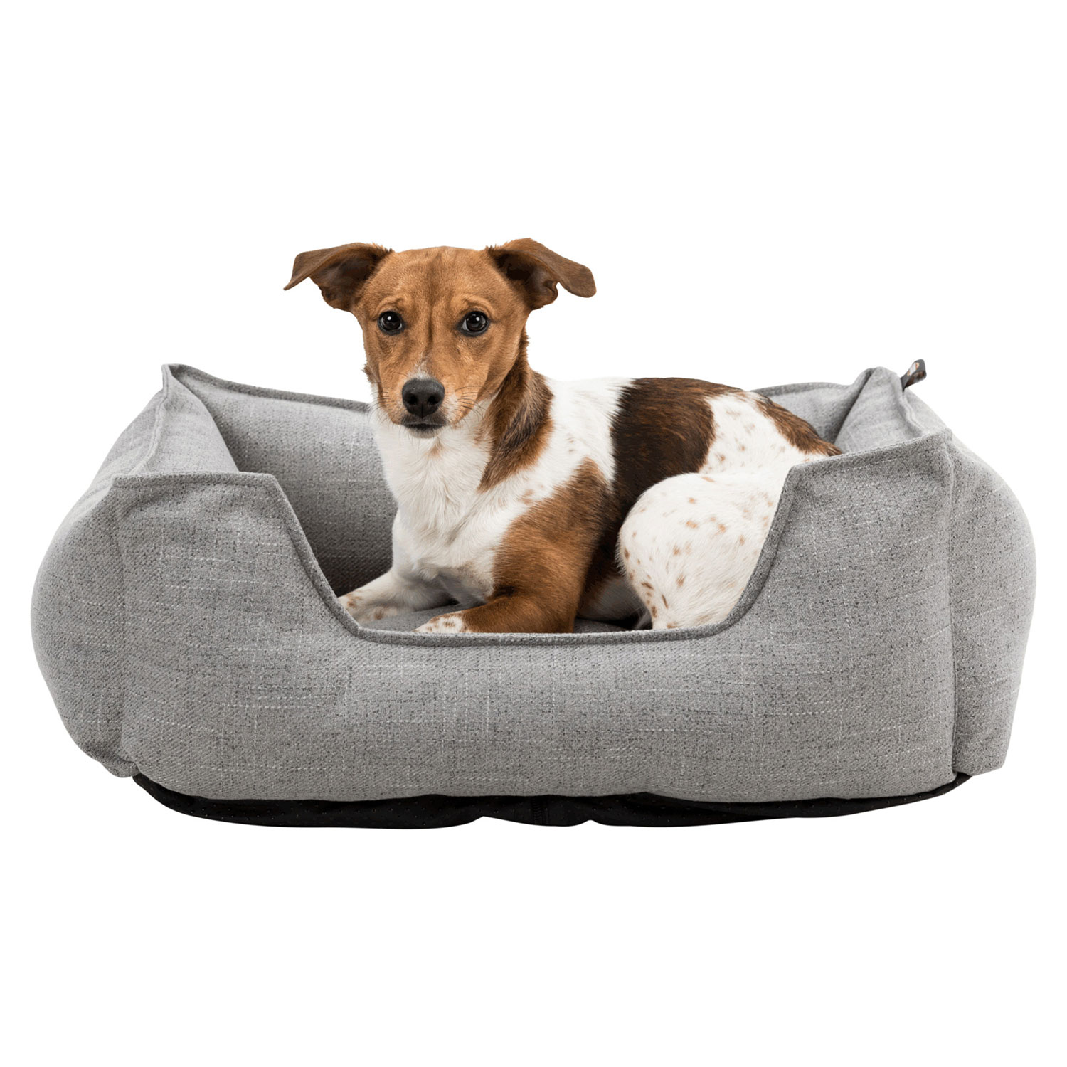 Cama Talis, 60 × 50 cm, Gris