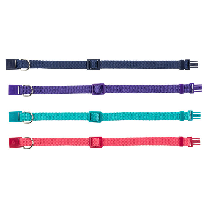 Premium Collar