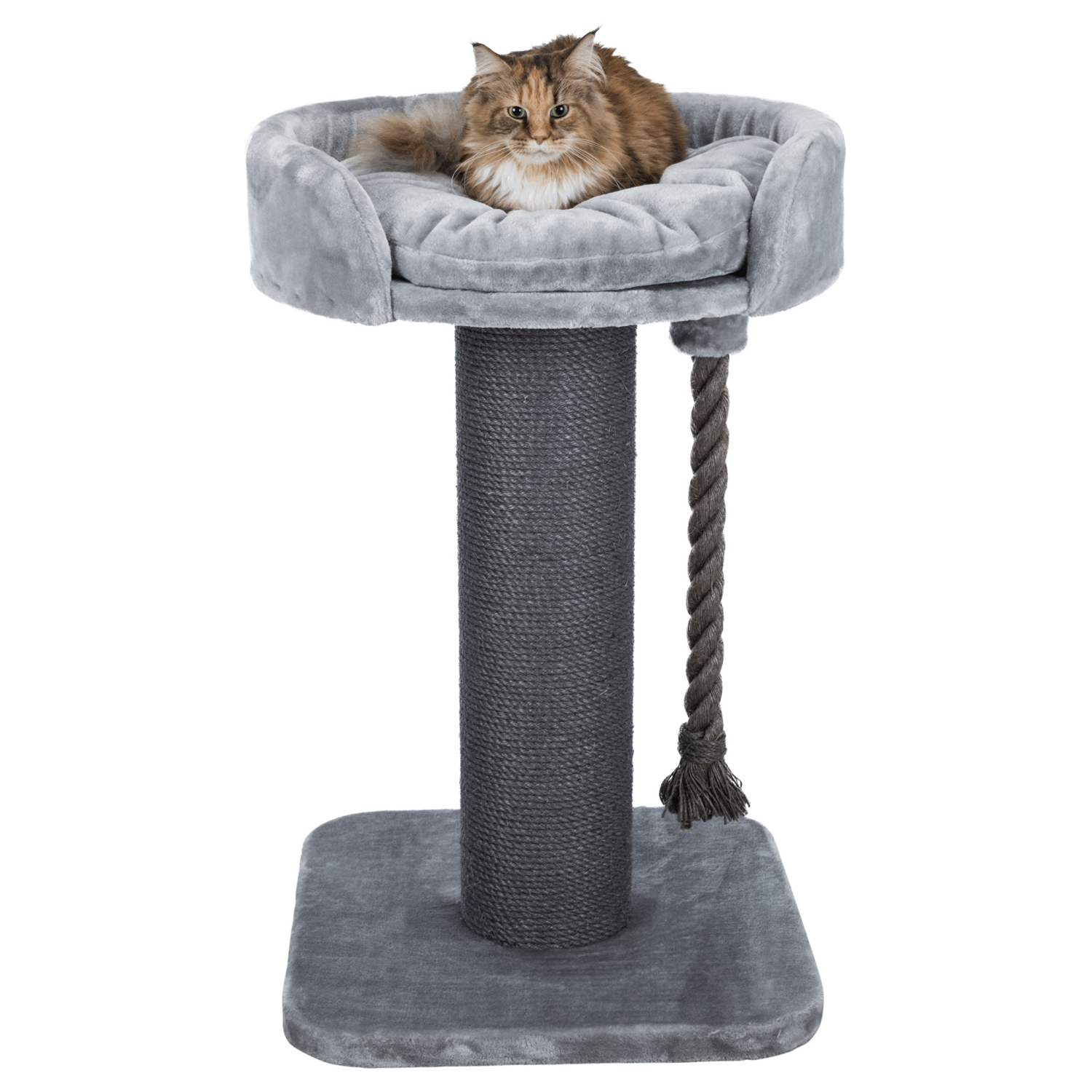 Poste Rascador Klara XXL, 100 cm, Gris