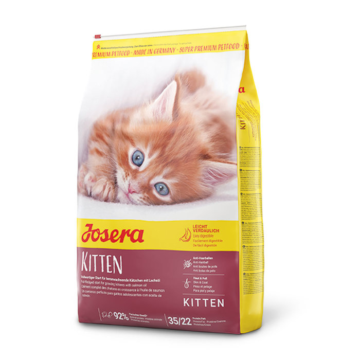Kitten: Con Ave de Corral