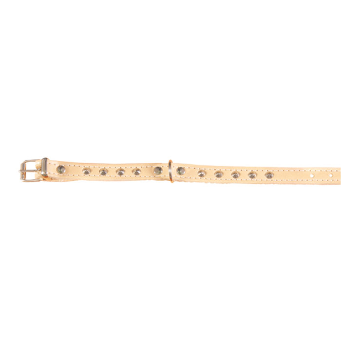 Collar Basic