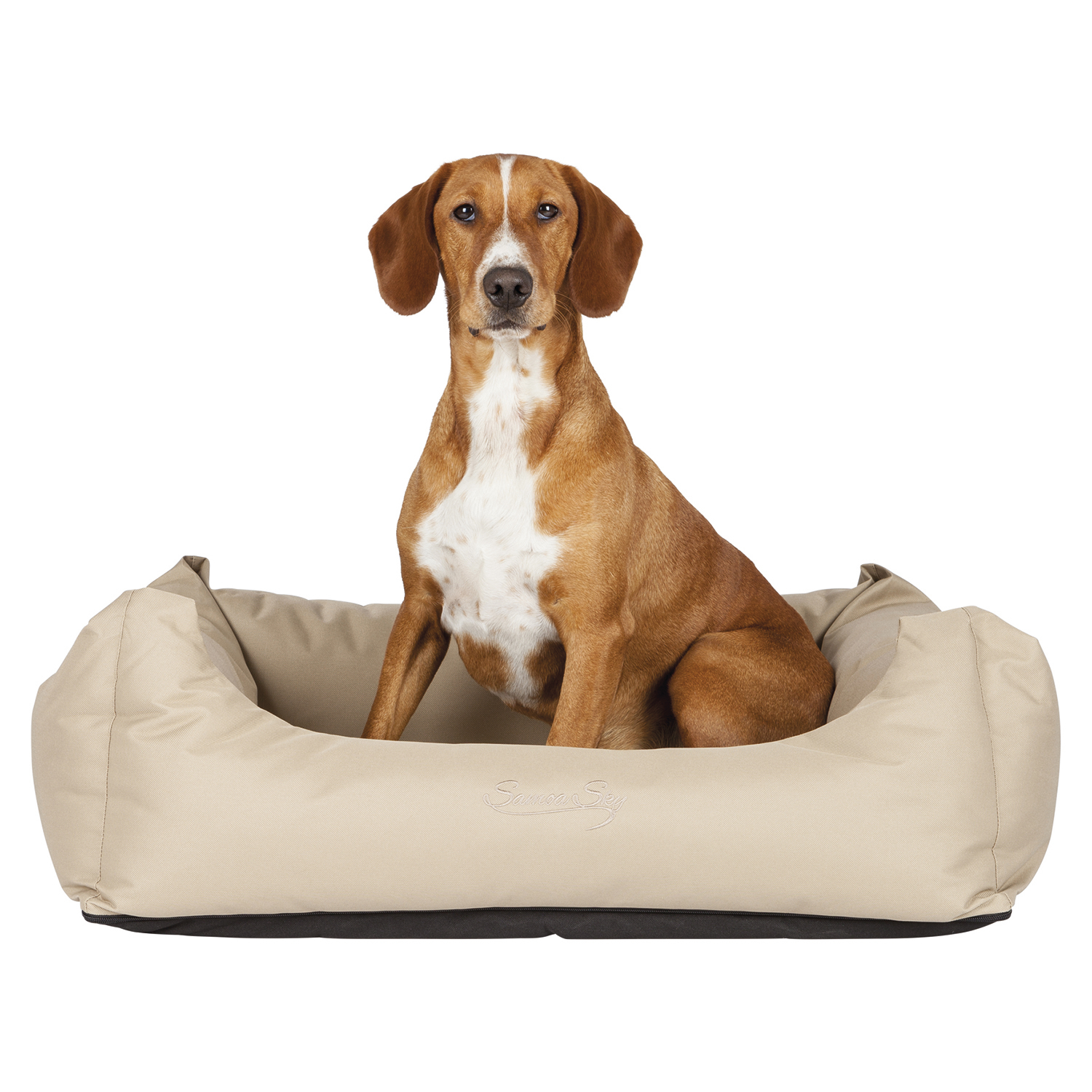 Cama Samoa Sky, 65×50cm, Beige