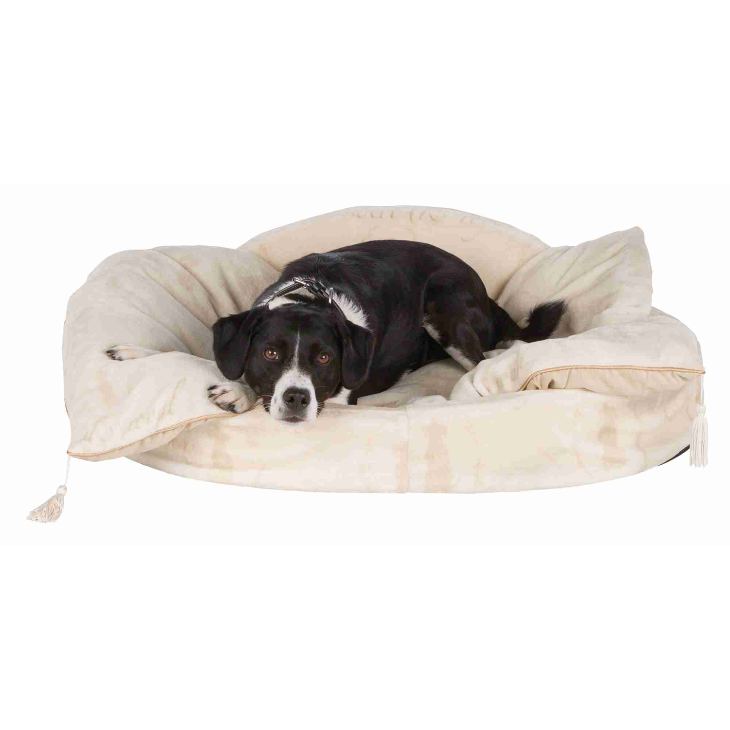Cama King of Dogs, 85×65cm, Crema
