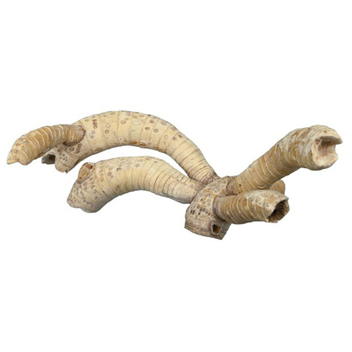6 Ramas de Bambú