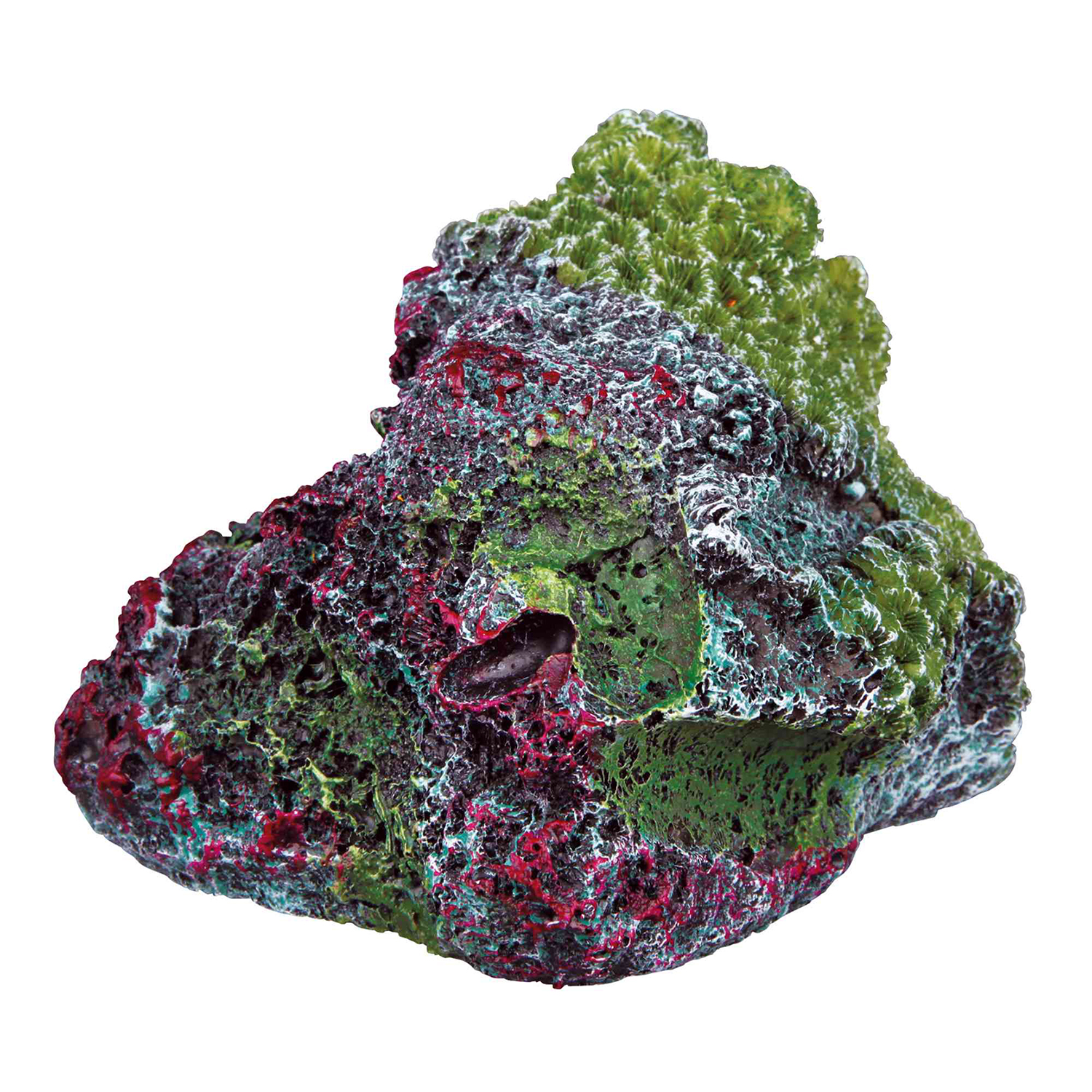 Piedra con Piedra de Coral, 8 cm