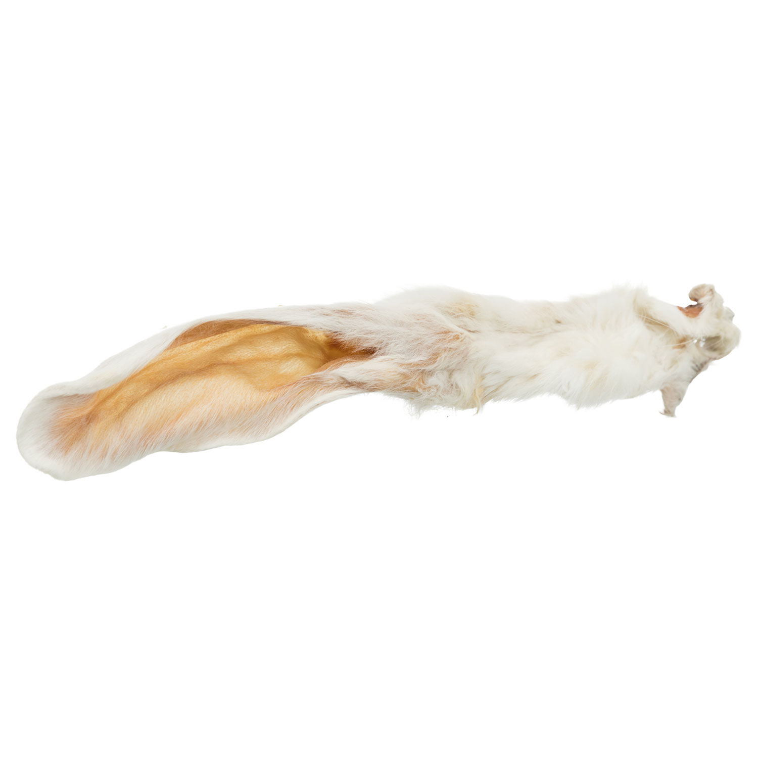 Orejas de conejo con pelaje, 100 g