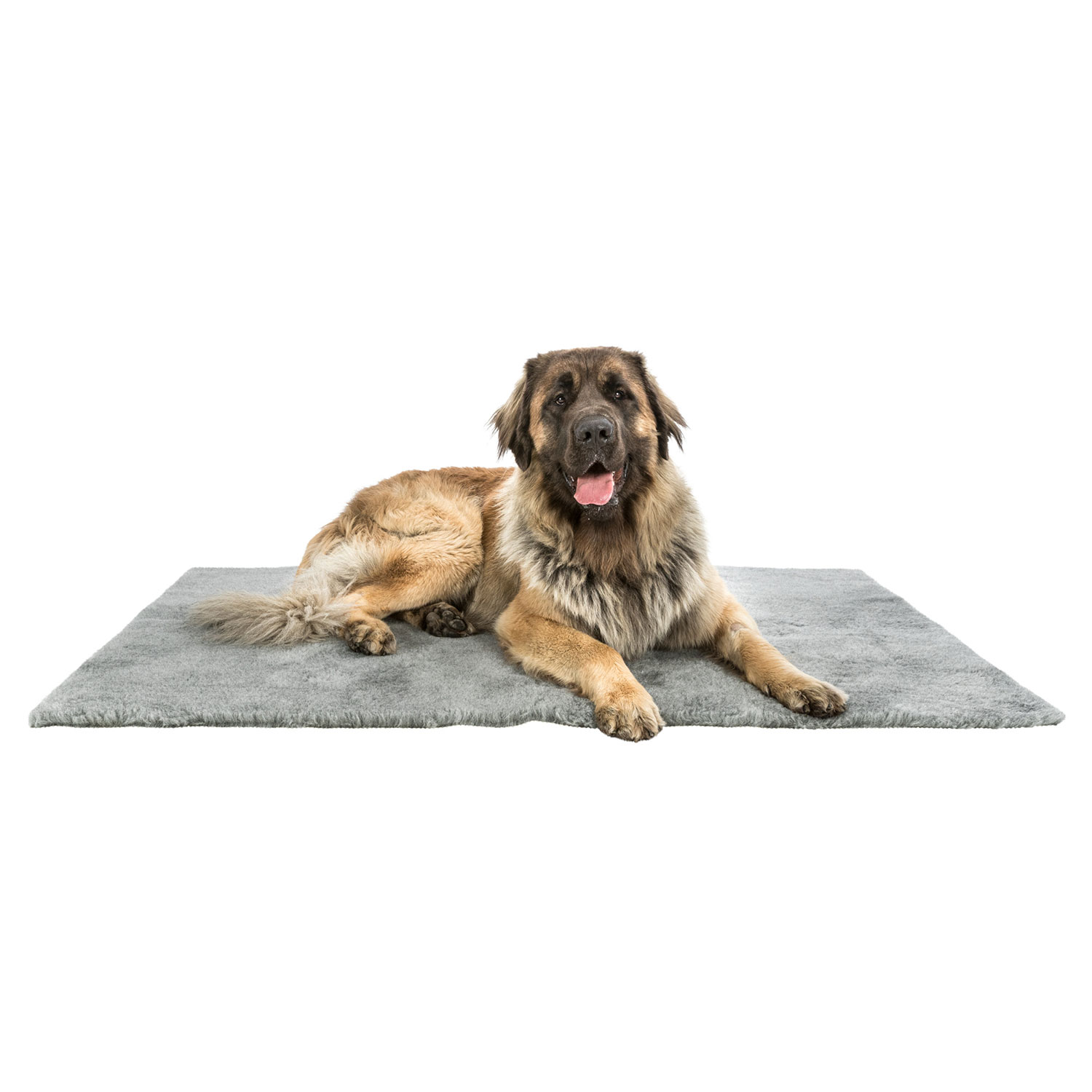 Alfombrilla Higiénica, 75 × 50 cm, gris