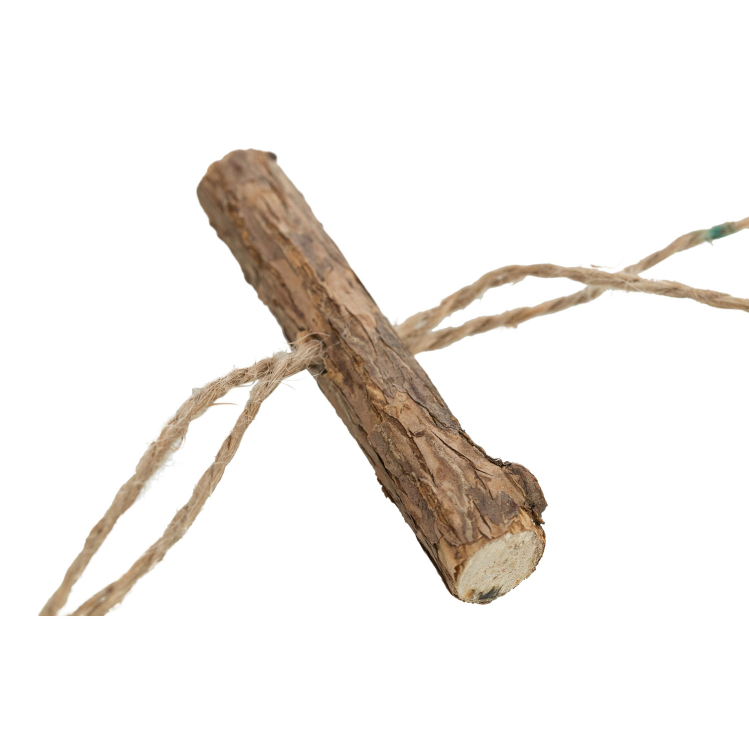 Palo de Matatabi con Flecos, 44 cm