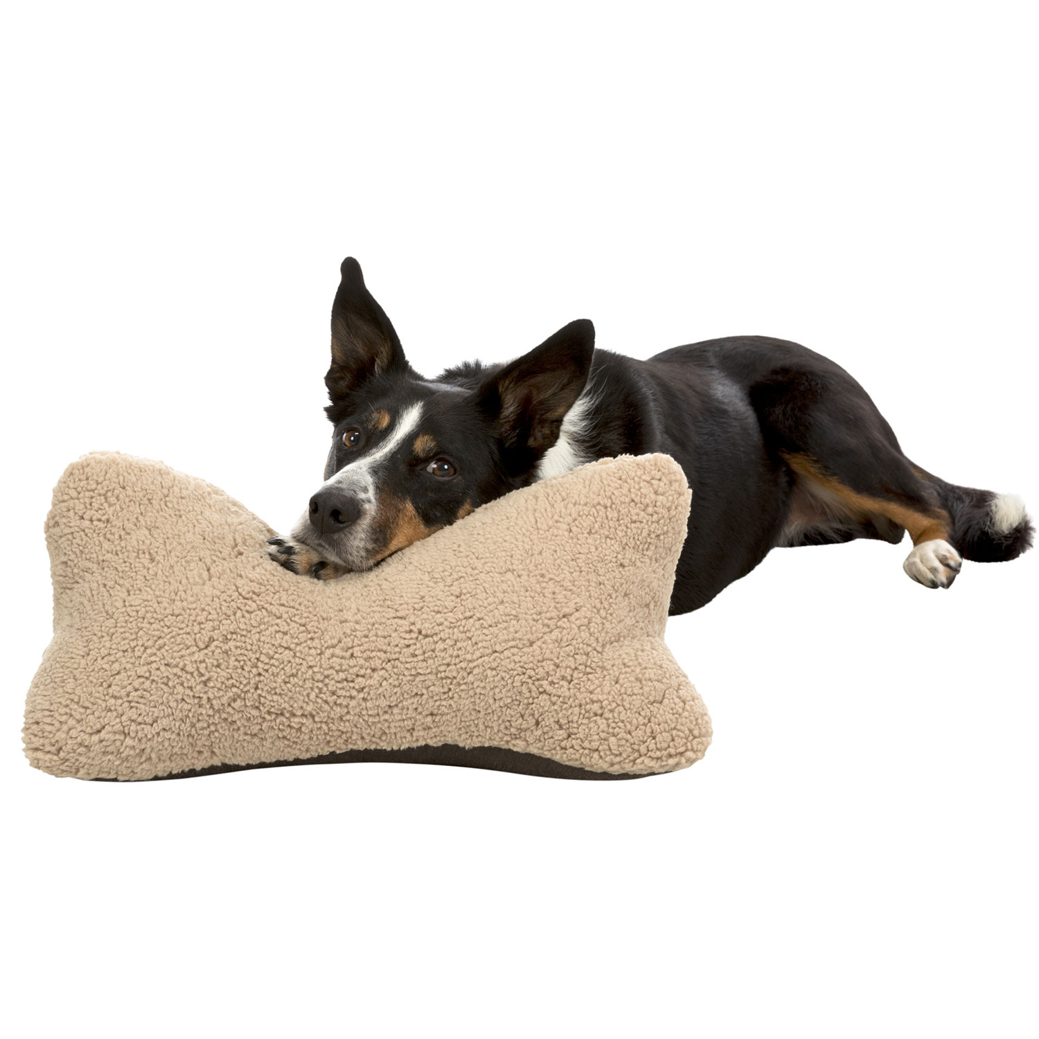 Almohada Bendson, 40 × 22 cm, beige/marrón oscuro