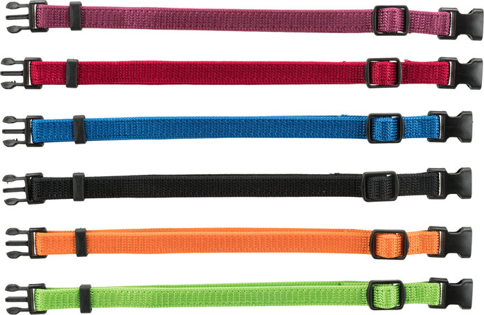 Junior Set de Collar Cachorros