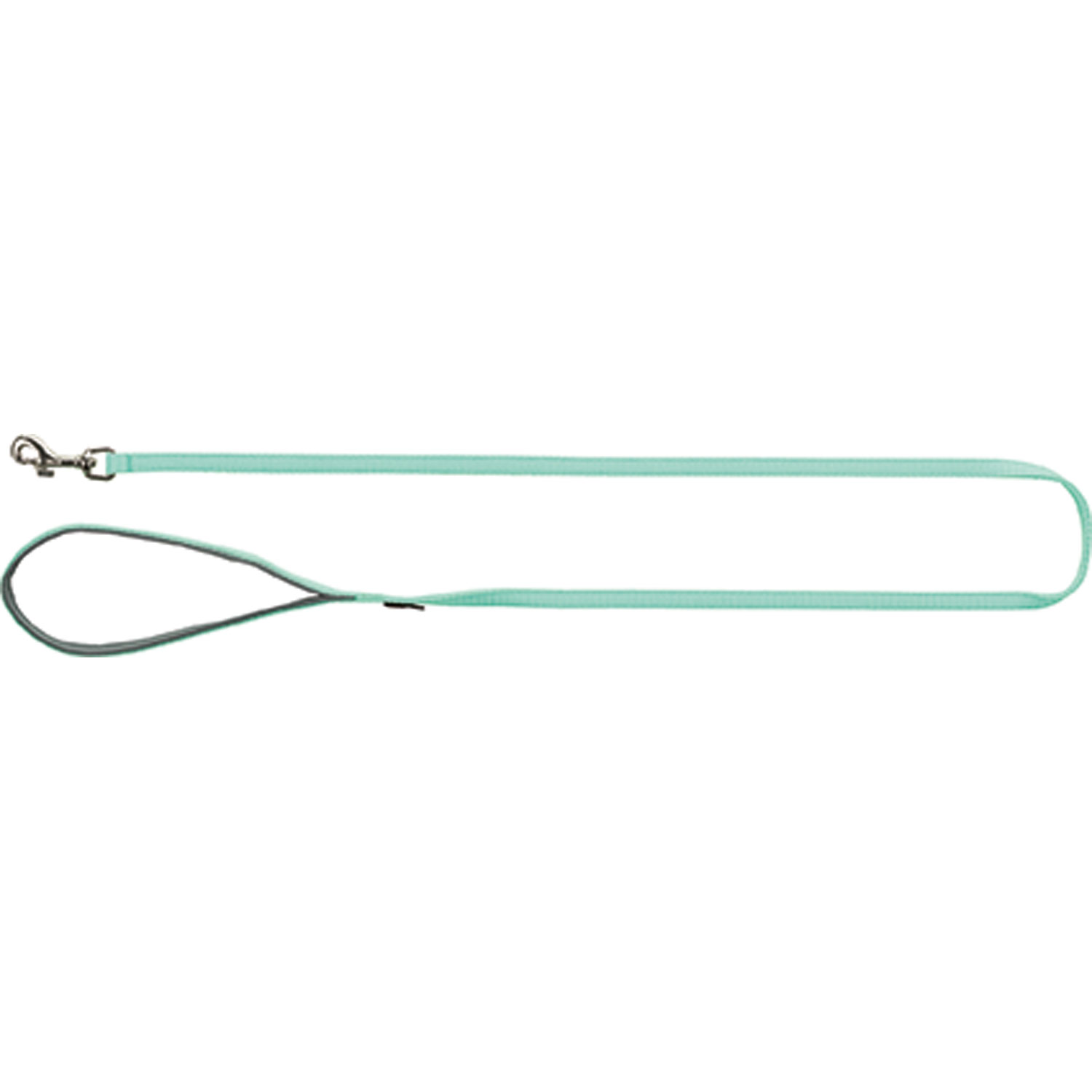 Correa Premium, XS: 1.20 m/10 mm, Menta