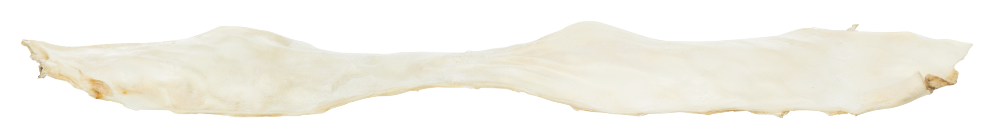 Piel de conejo seca, 100 g
