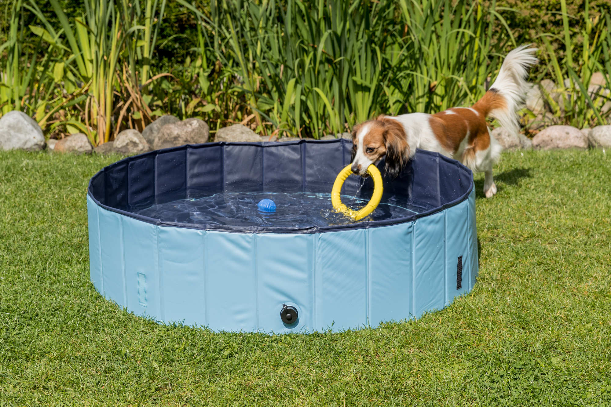 Piscina para perros, ø 70 × 12 cm, Azul Claro/Azul