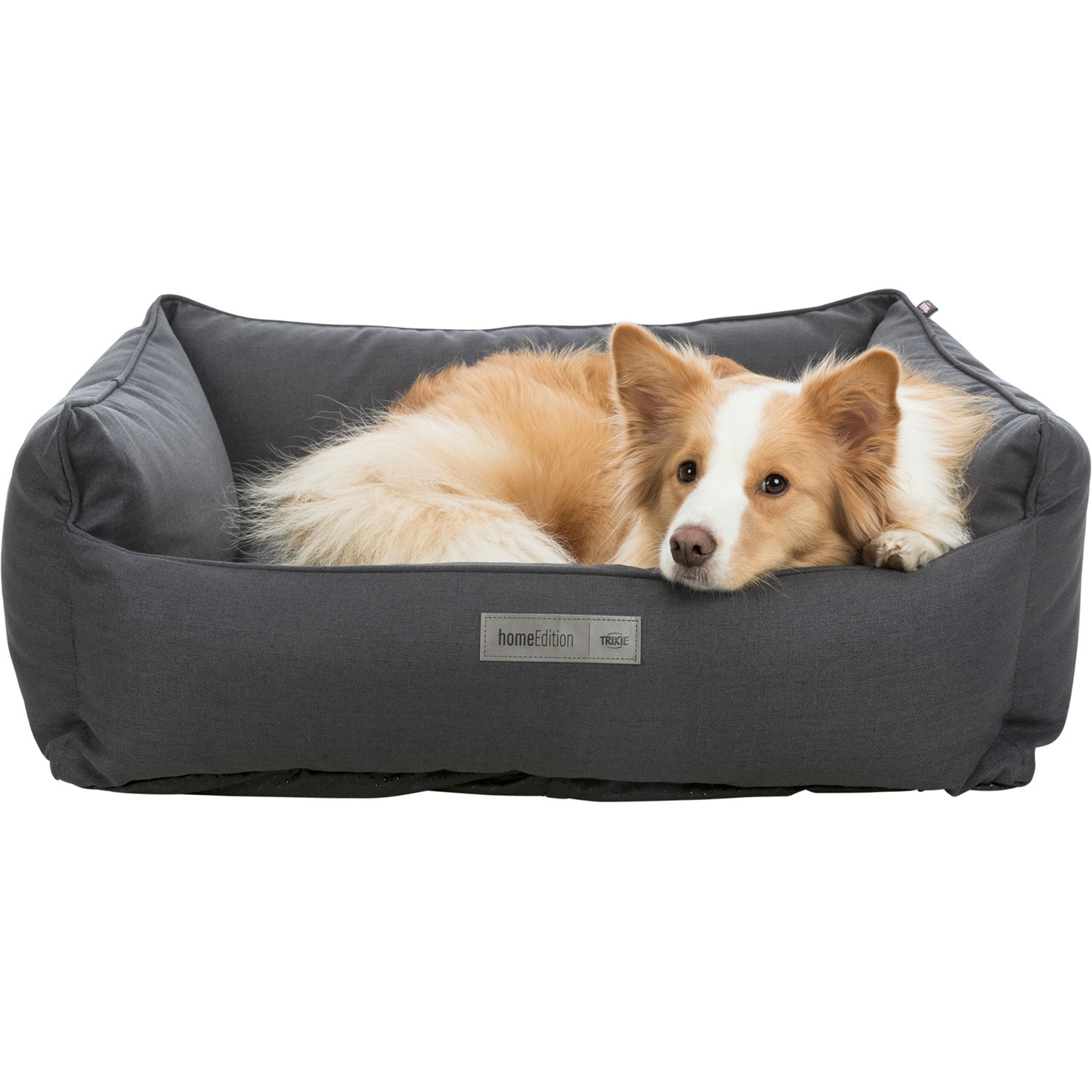 Cama Farello, cuadrado, 60 × 50 cm, Negro