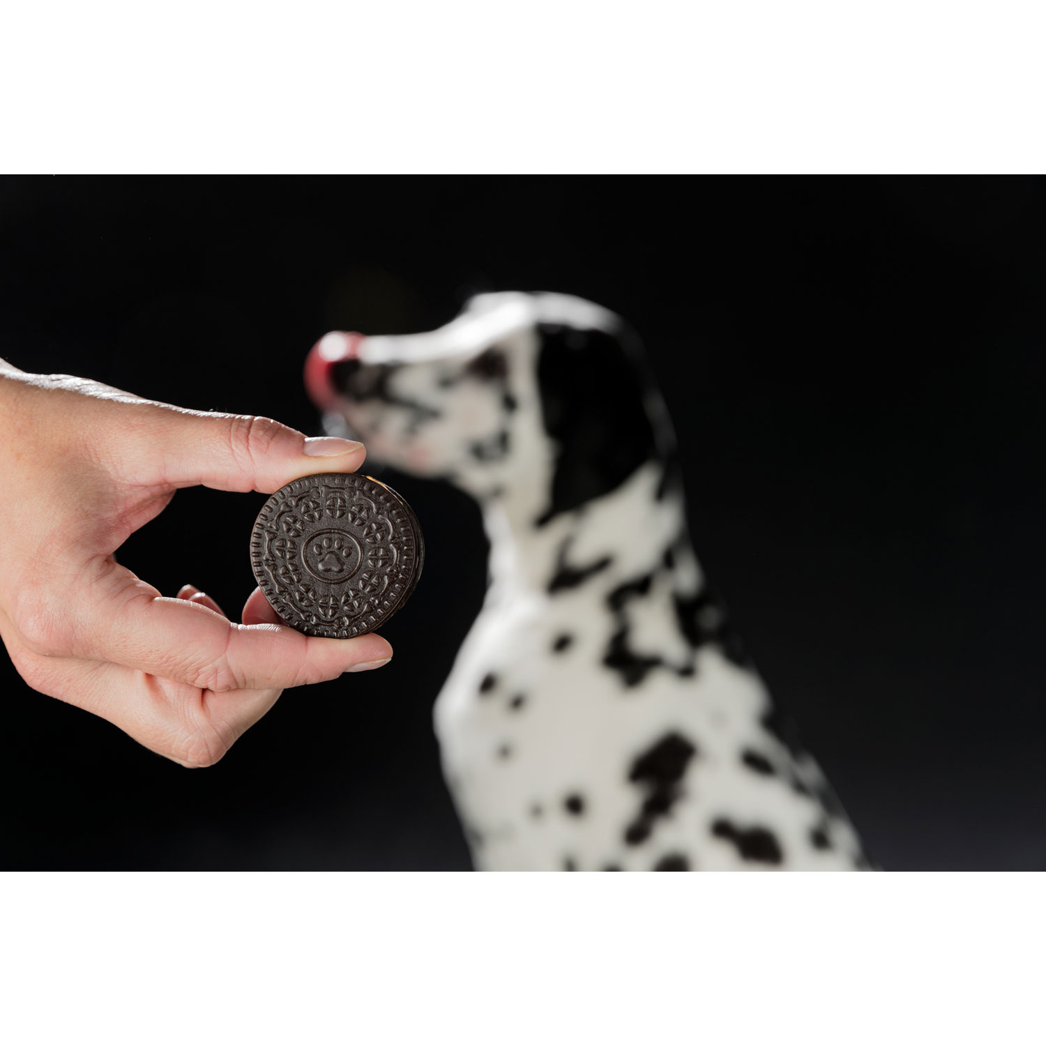 Galletas Blanco y Negro, ø 4 cm, 4 pcs./100 g