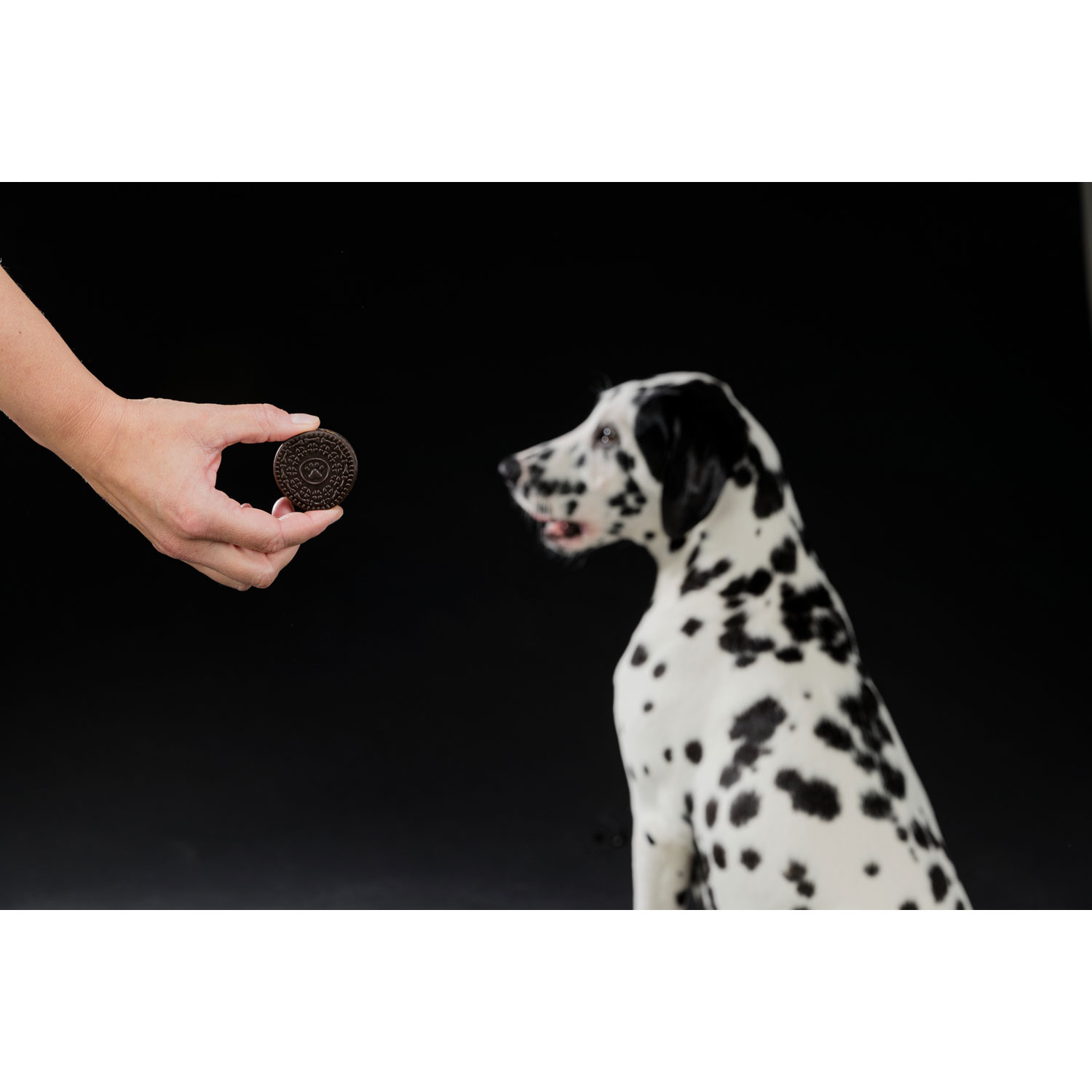 Galletas Blanco y Negro, ø 4 cm, 4 pcs./100 g