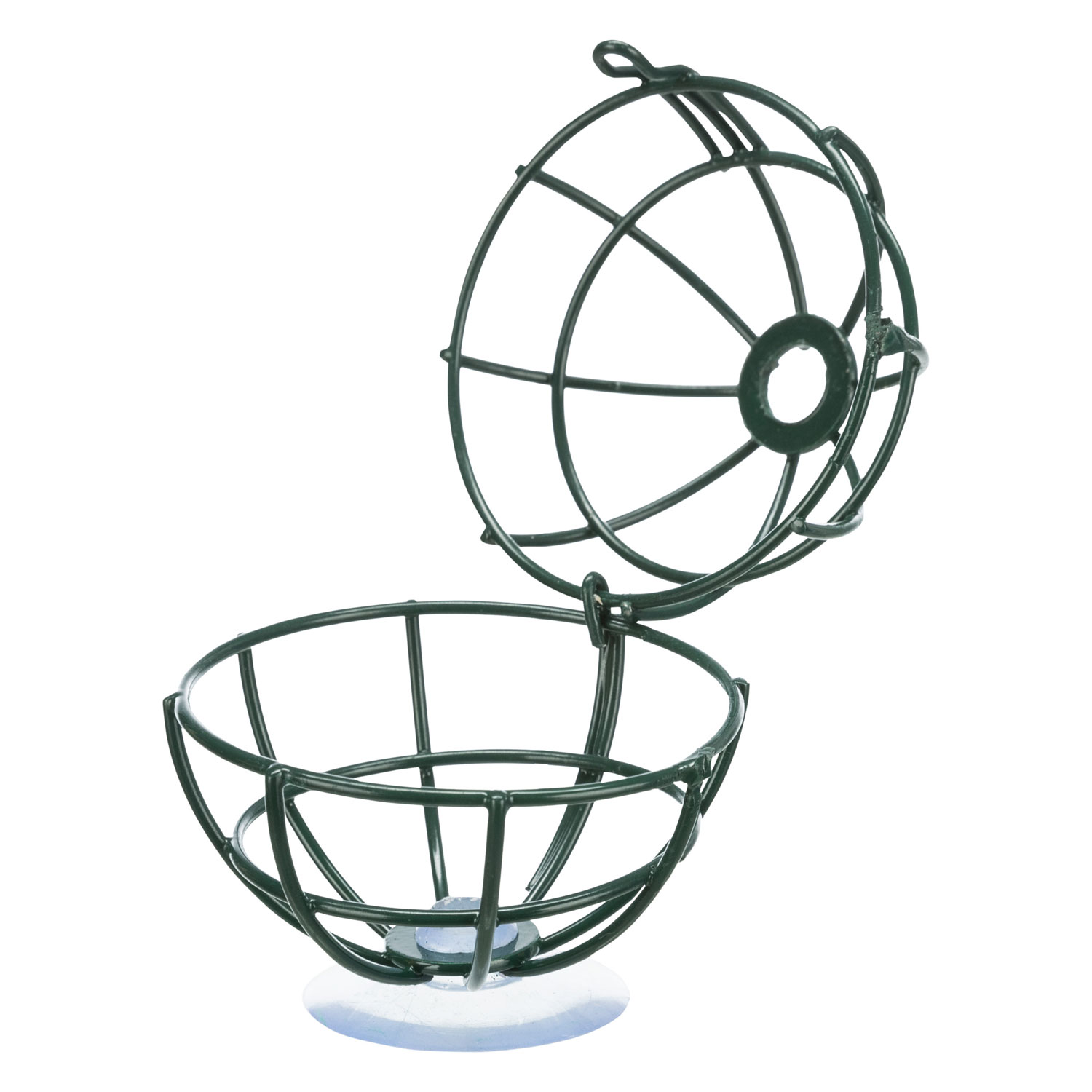 Soporte de bolas de grasa para el cristal de la ventana, metal, ø 7 cm, Verde oscuro