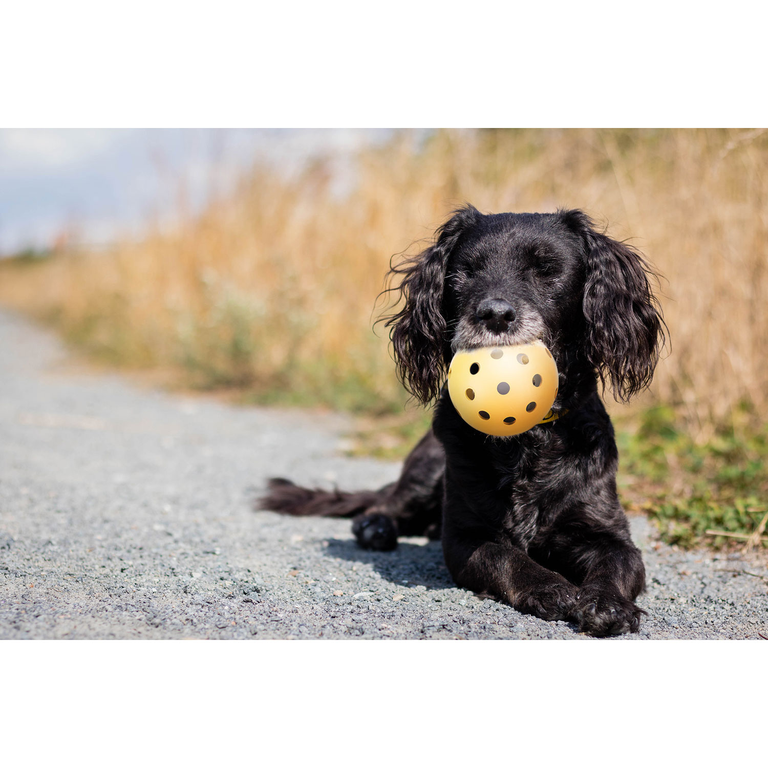 Pelota con agujeros, goma natural, ø 7 cm