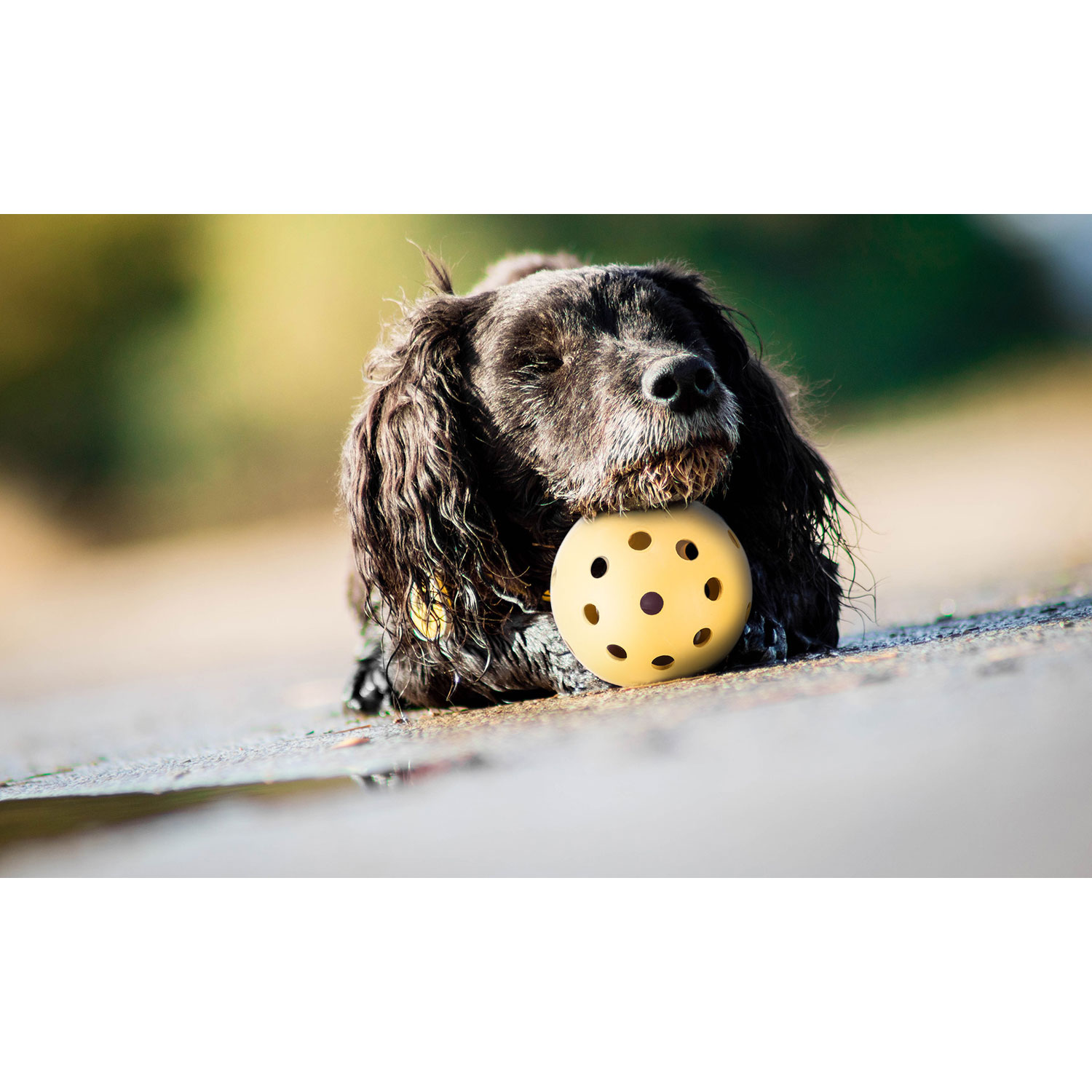 Pelota con agujeros, goma natural, ø 7 cm