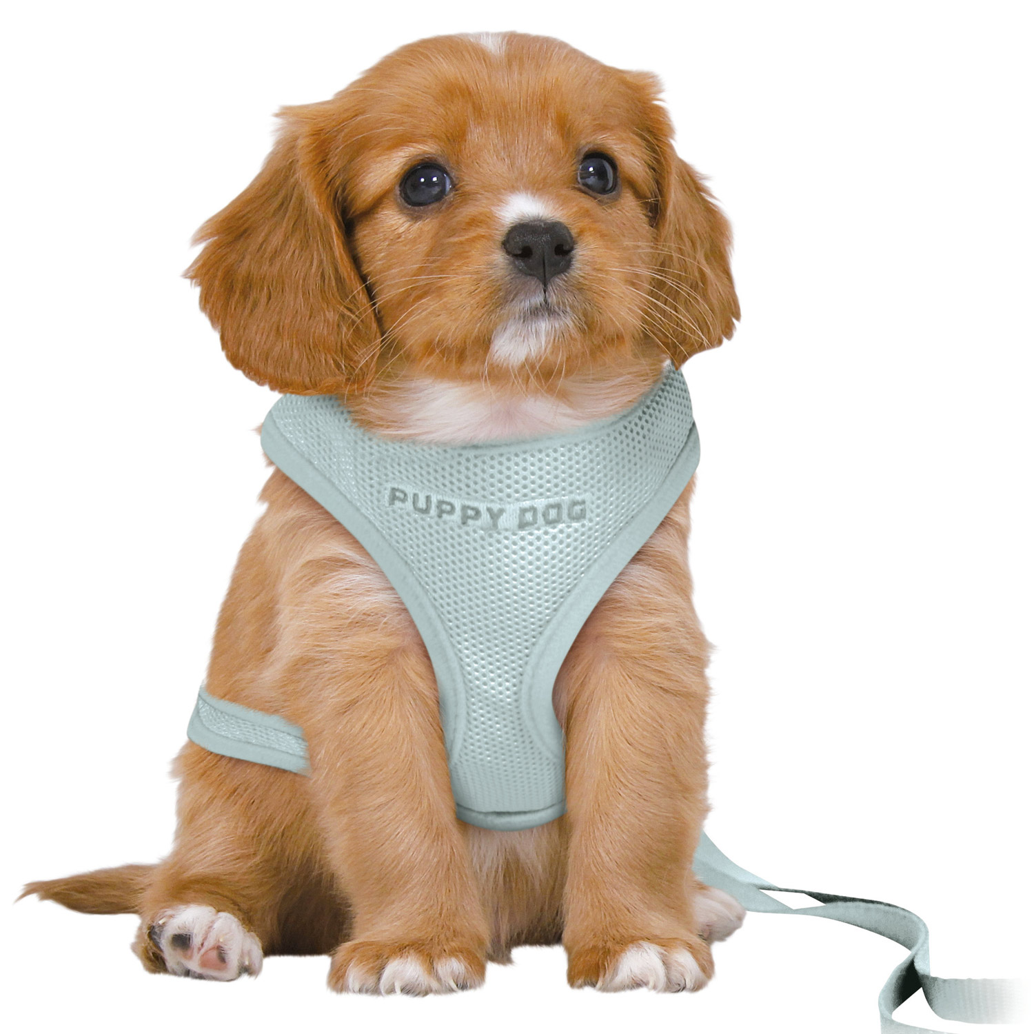 Junior Arnés Acolchado con Ramal para Cachorros,  M–L, menta,  36–50 cm/10 mm