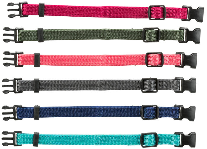 Junior Set de Collar Cachorros