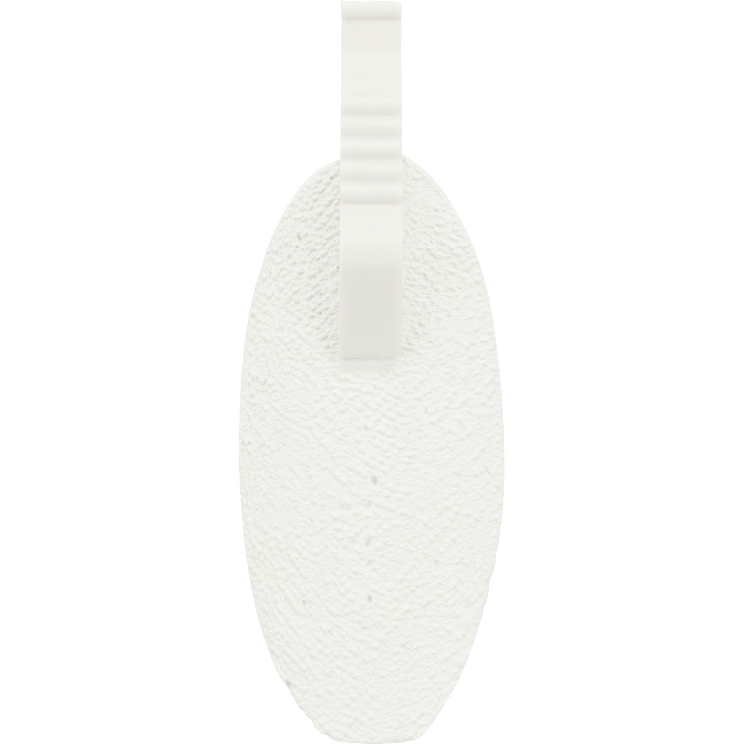 Piedra de calcio de sepia, 40 g