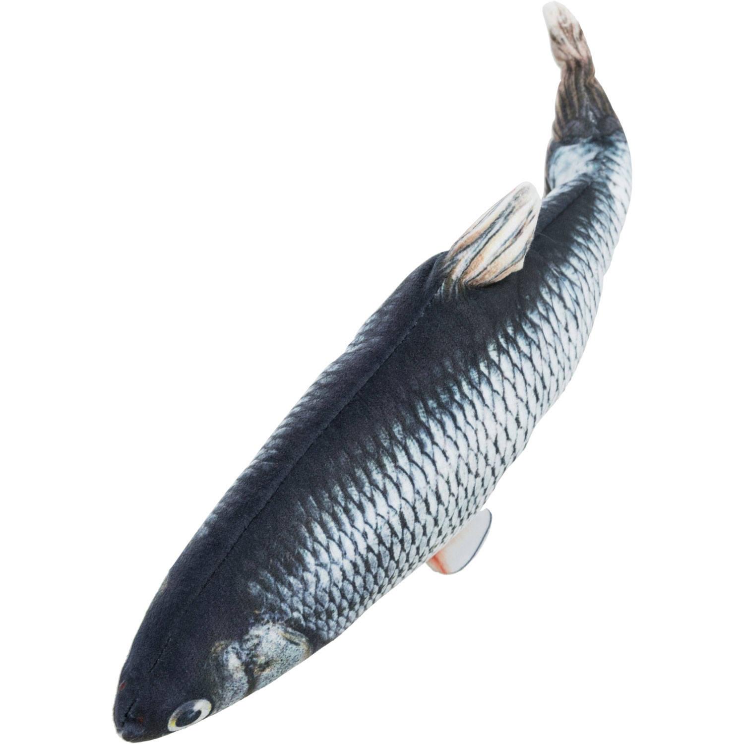 Pez enrollable, 30 cm