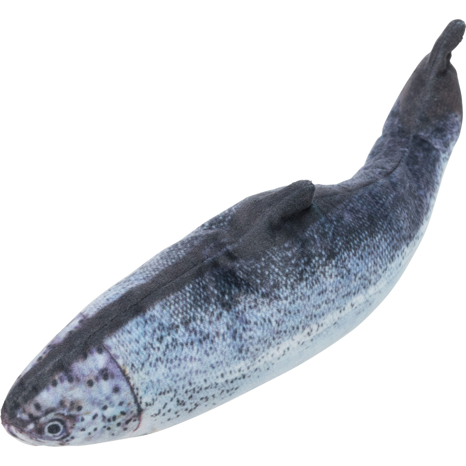 Pez enrollable, 30 cm