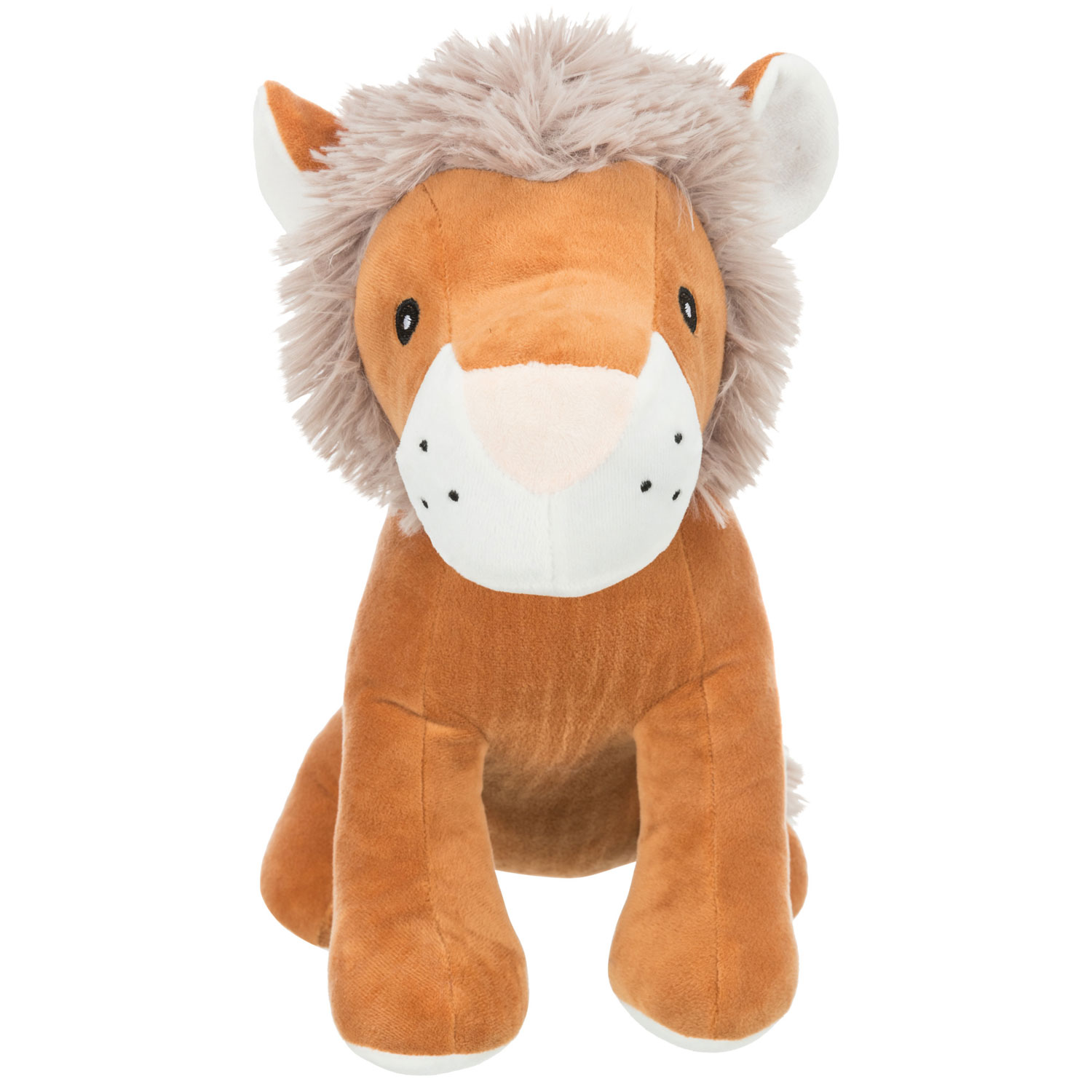 León, 20 cm