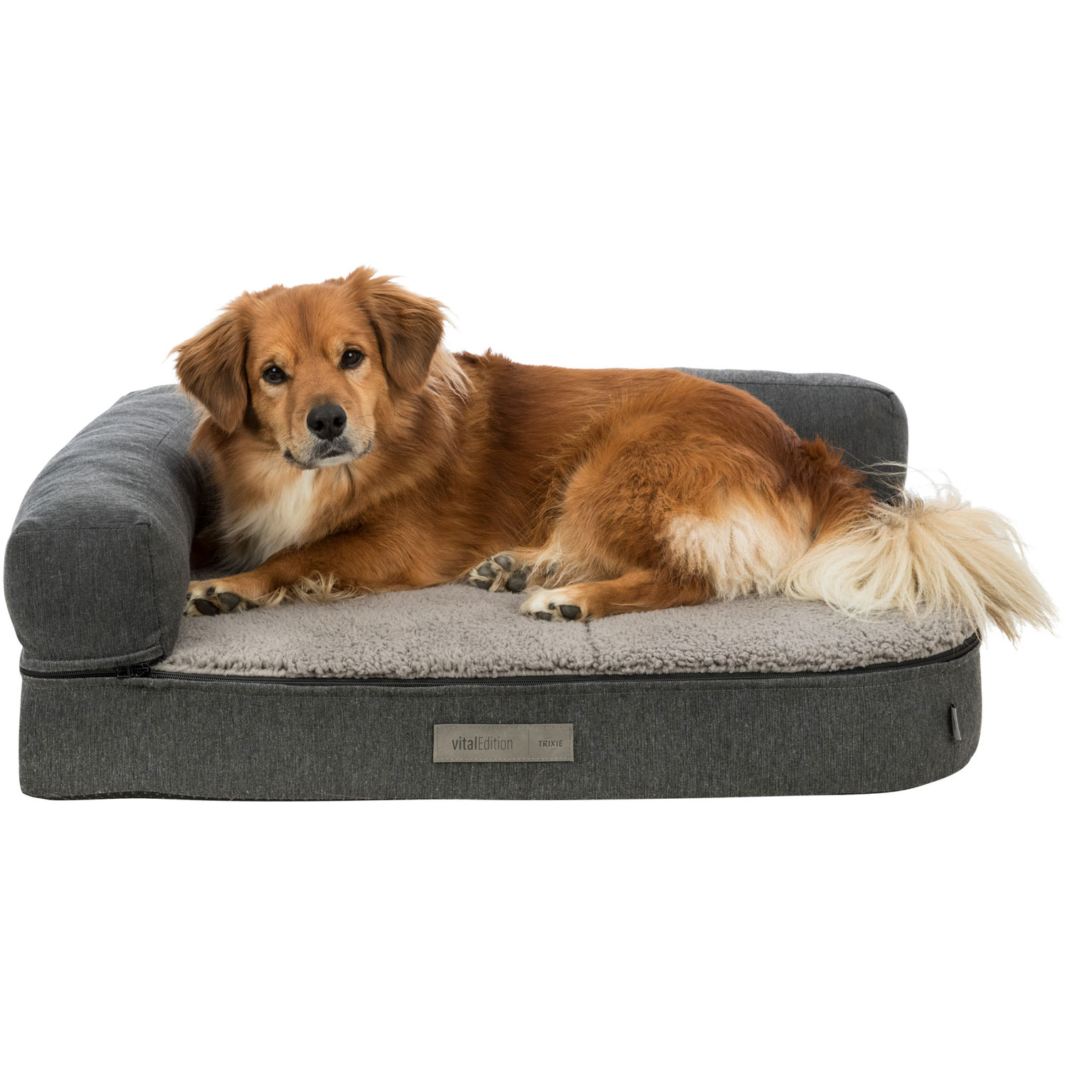 Sofá Vital Bendson, 80 × 60 cm, Gris oscuro/Gris claro