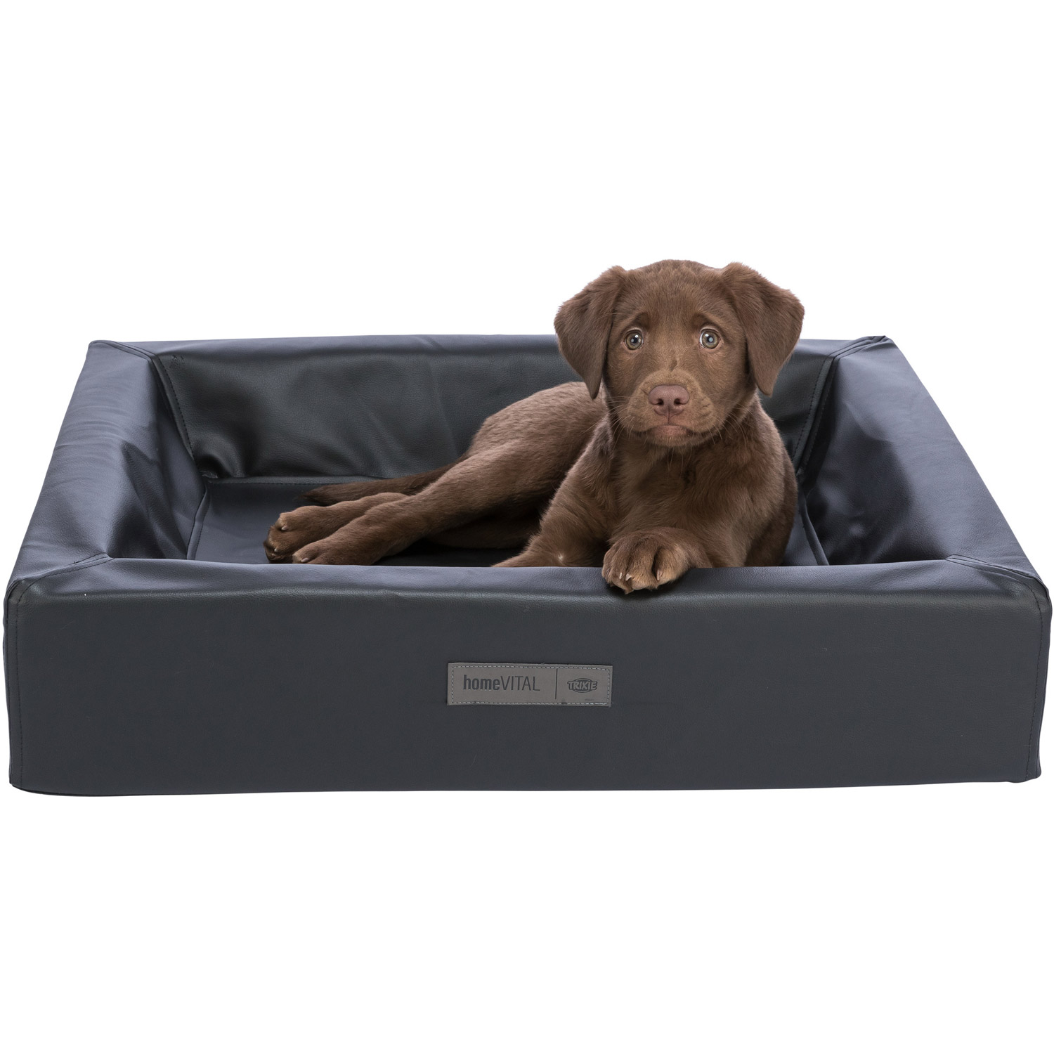 Cama Vital Remo, Negro, 70 × 60 cm