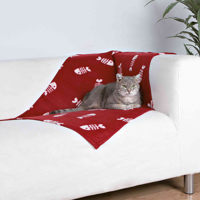 Manta Beany