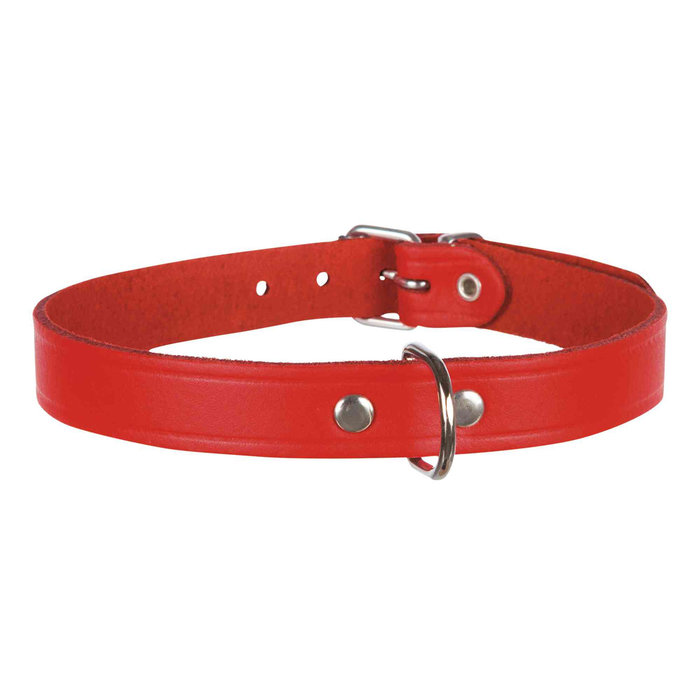 Collar Basic