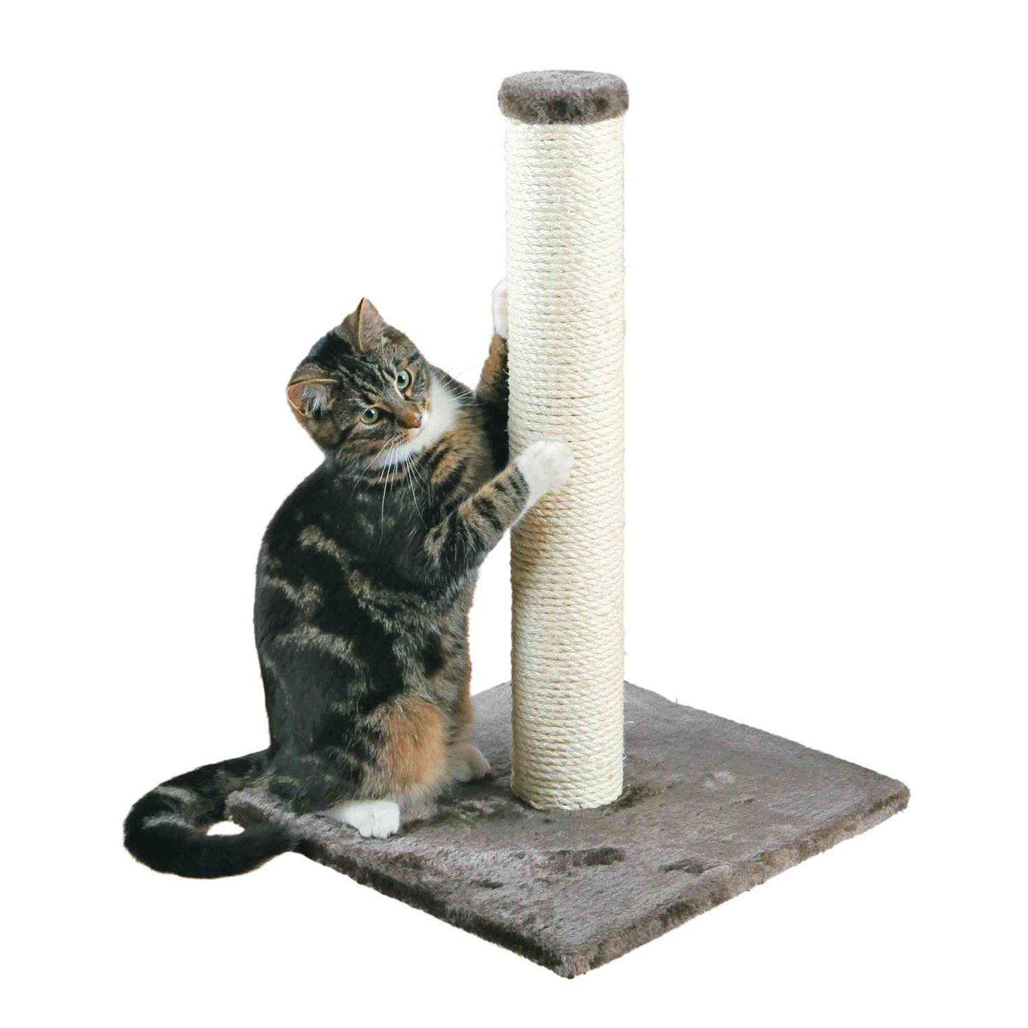 Poste Rascador Parla, 62 cm, Gris platino