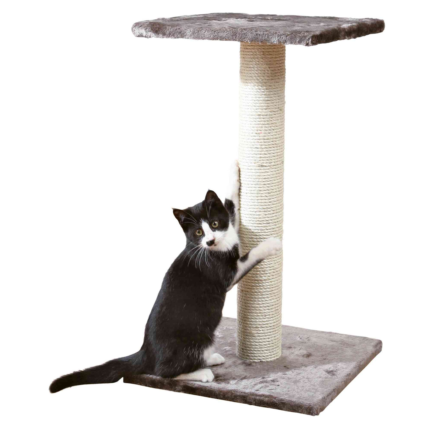 Poste Rascador Espejo, 69 cm, Gris platino