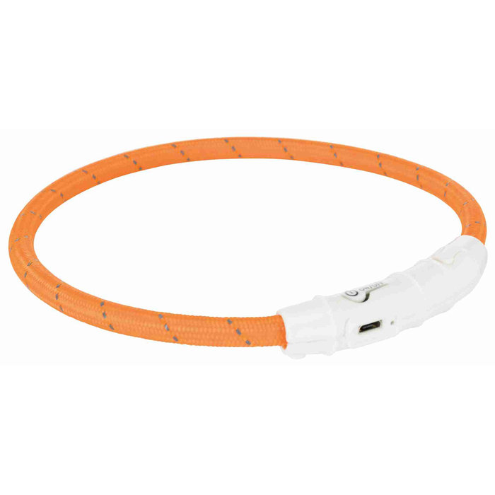 Collar de Aro Flash USB