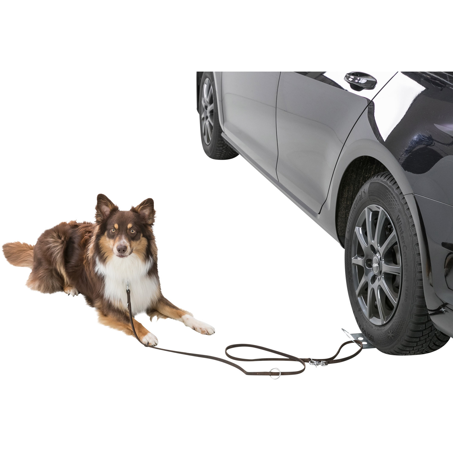 Placa de accionamiento con soporte para perros, 12 × 31 cm