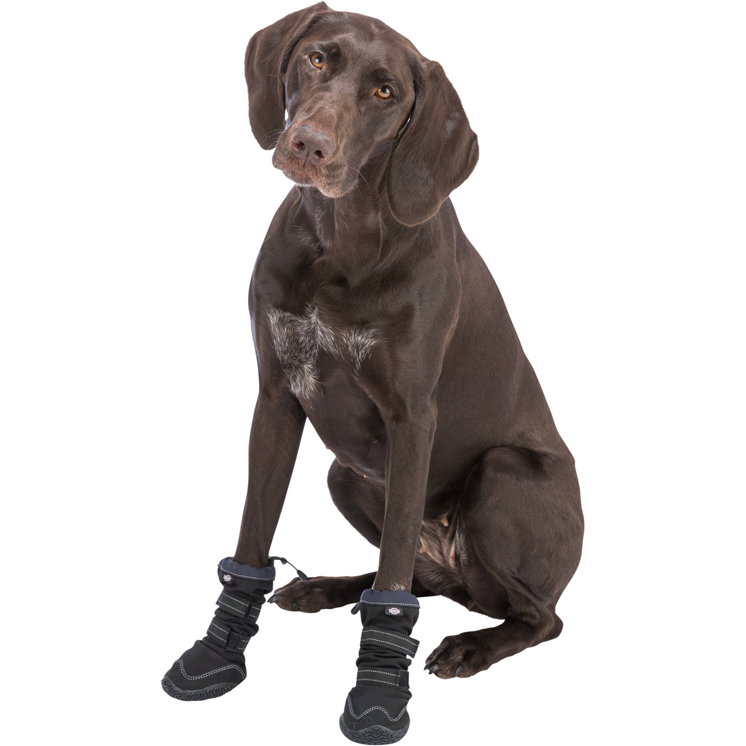 Andador de protección de patas activo largo, XS–S, Negro
