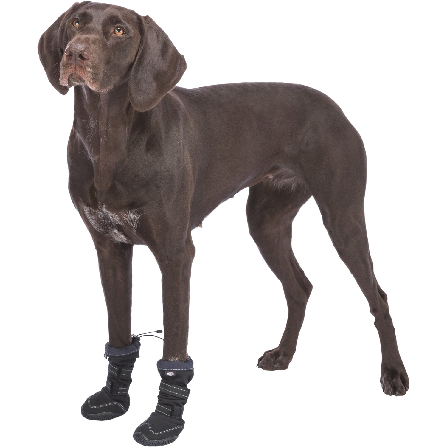 Andador de protección de patas activo largo, XS–S, Negro