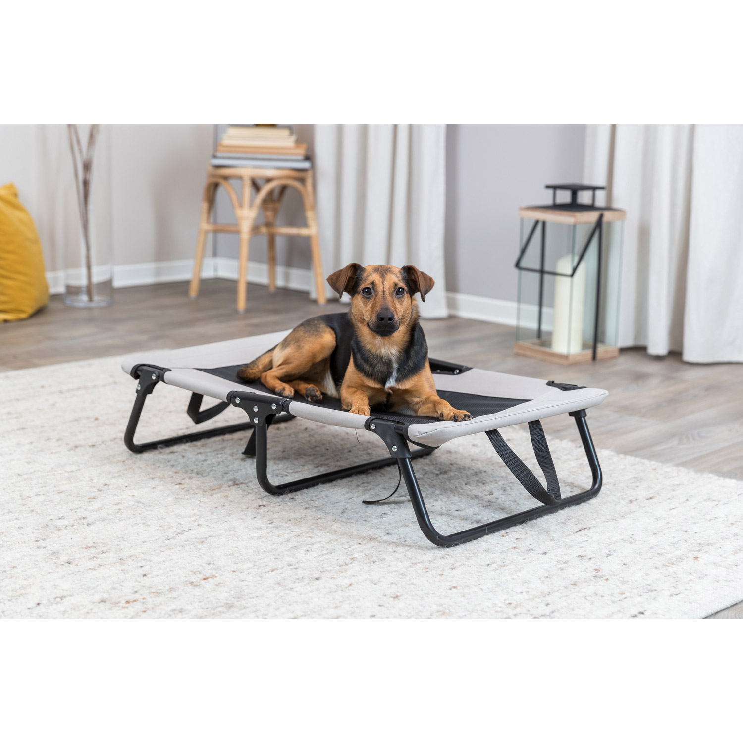 Tumbona para perros, Gris/Negro, 79 × 19 × 50 cm