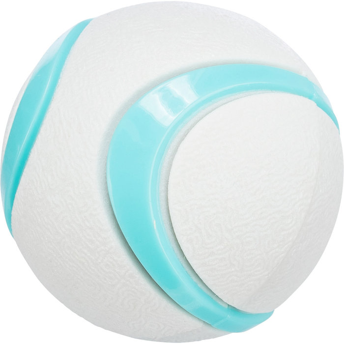 Pelota
