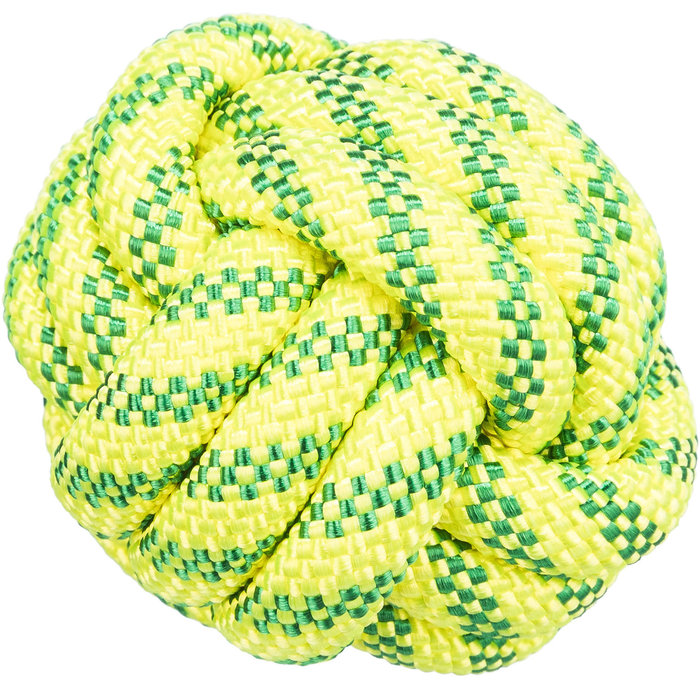 Aqua Toy Pelota