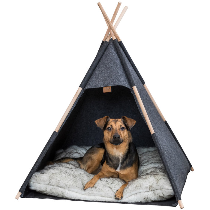 Cueva Tipi